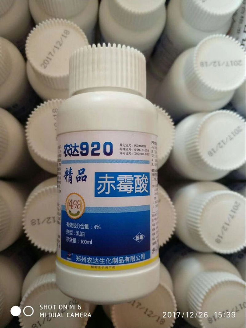 Nongda 920, different gibberellin(图4)