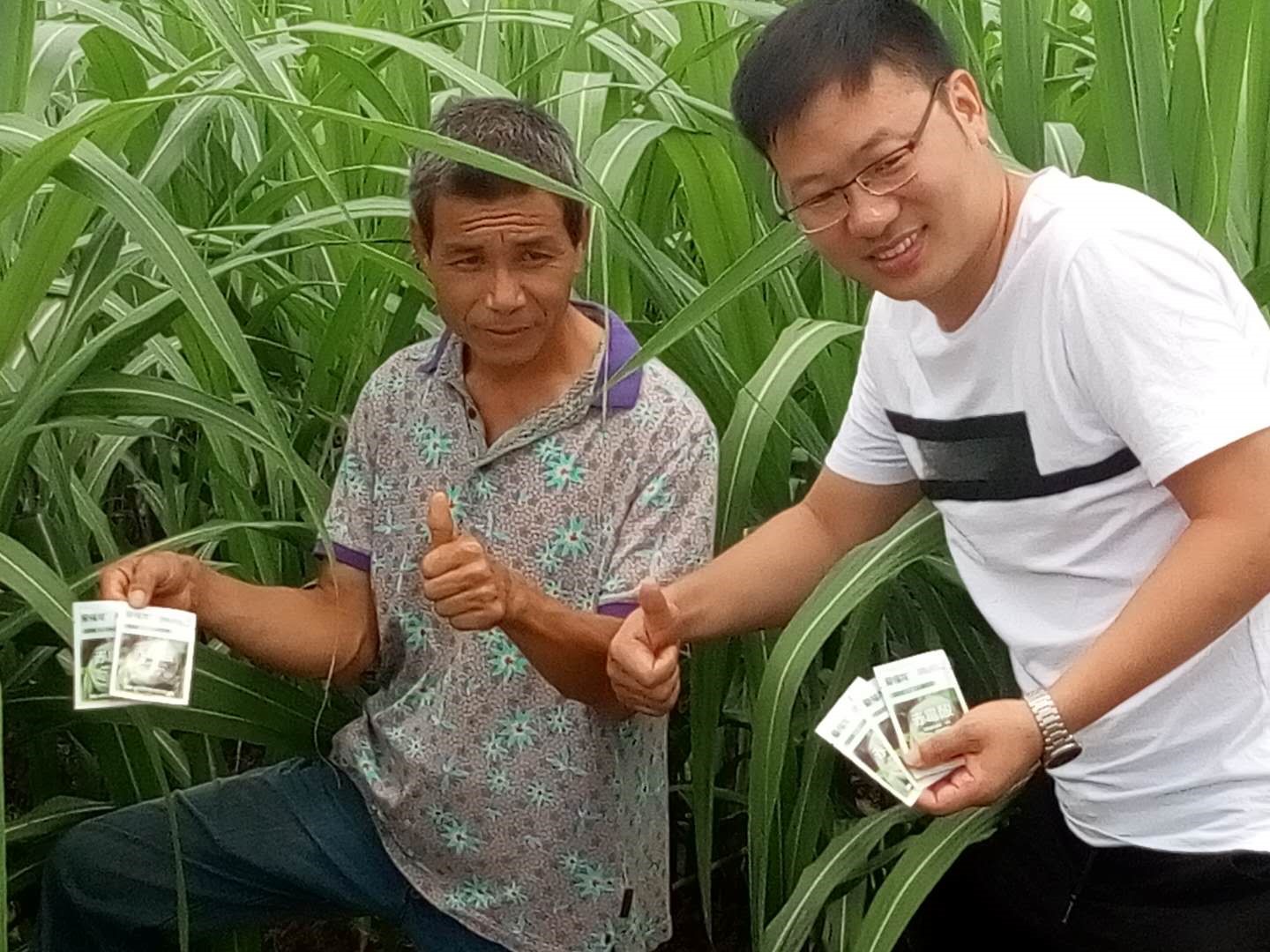 Wengyuan County Ditiantai Agricultural Products Co.,Ltd ＂Nongda 20% Gibberellic Acid Soluble Powder ＂Listing Conference(图3)