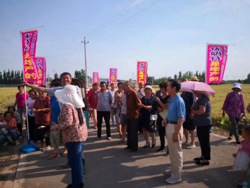 Observation on the Effect of Wheat Yield Increase of Younaite(图5) Observation on the Effect of Wheat Yield Increase of Younaite(图5)