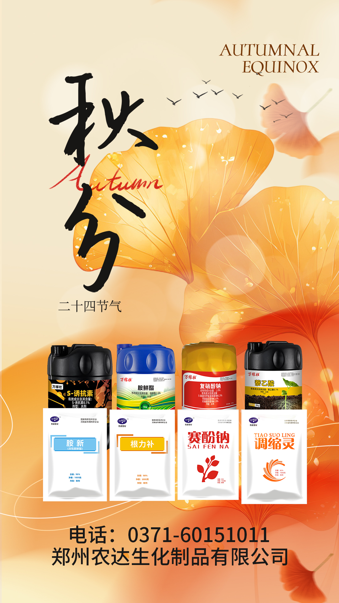 秋分(图13) 秋分(图13)