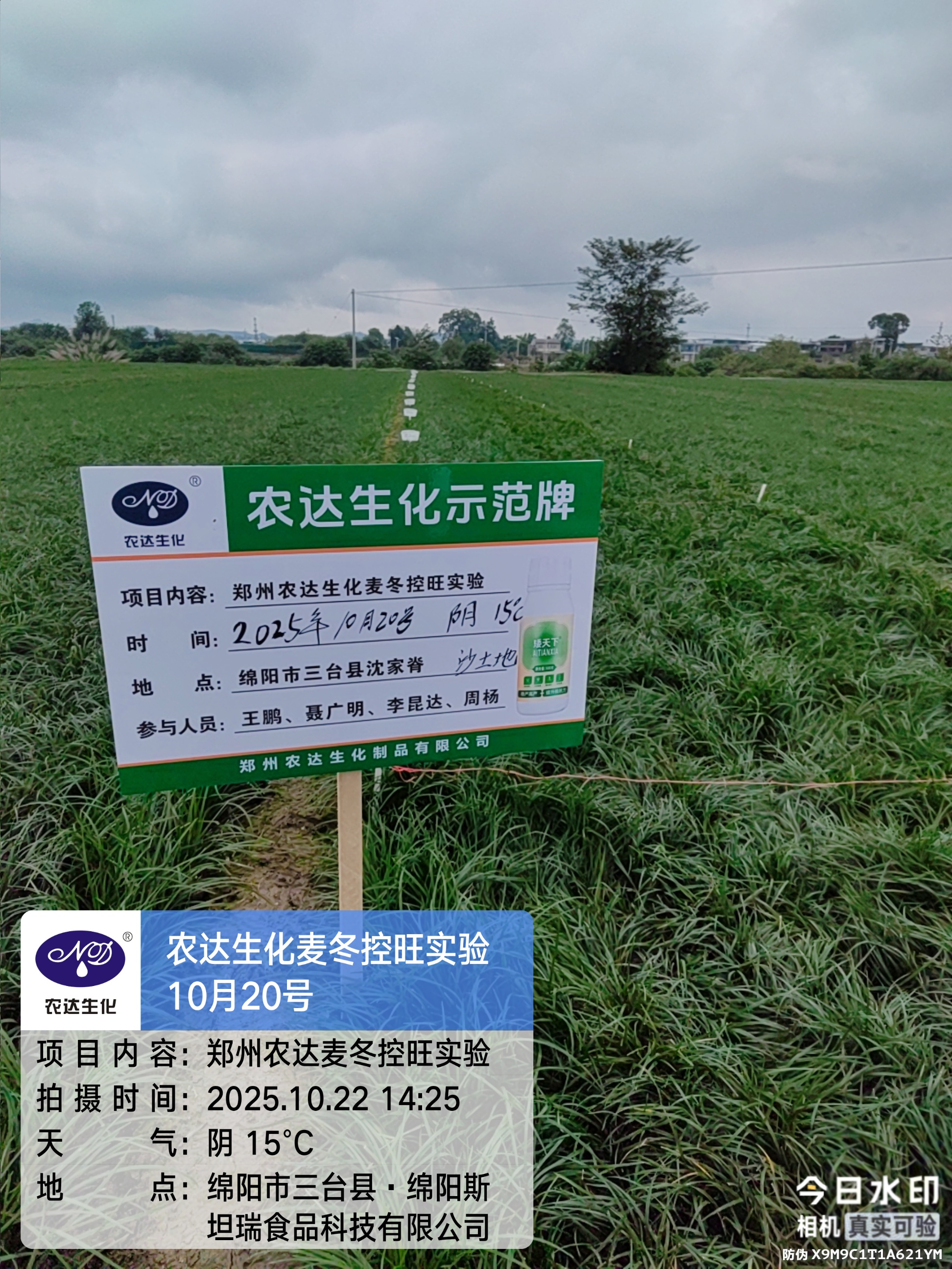 药典新规要检多效唑？别慌！农达“矮天下”助您控旺又增产！(图1)