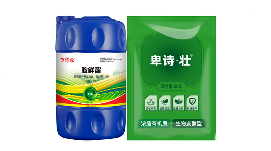 别人满树柑橘大果，自家果子小又花，差距全在夏天！(图5)