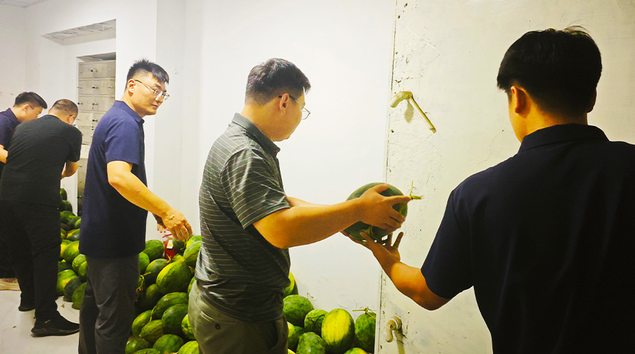 心怀家国饭碗，情系中原瓜农