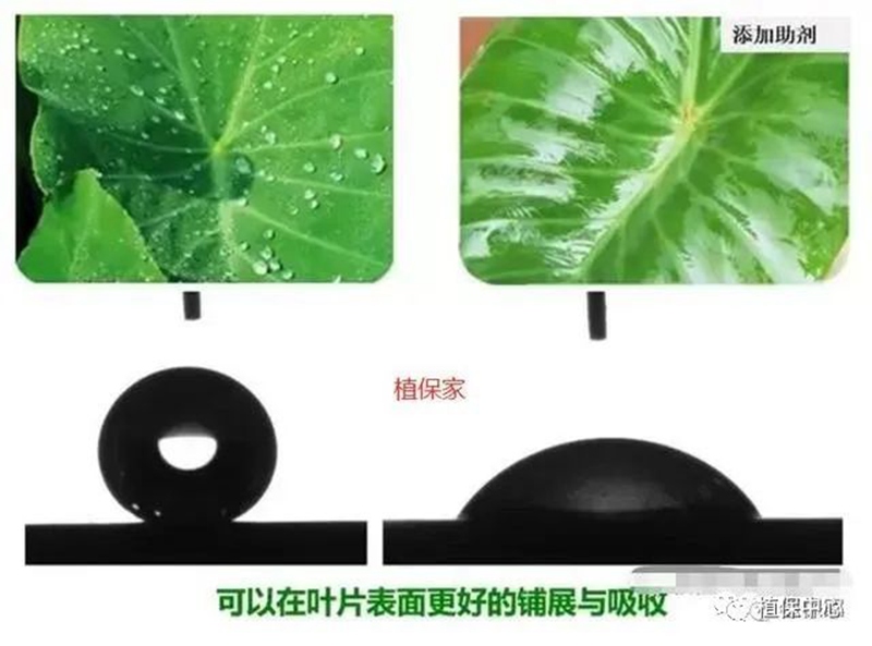 农药成分和含量一模一样，为啥效果差别那么大？(图2)